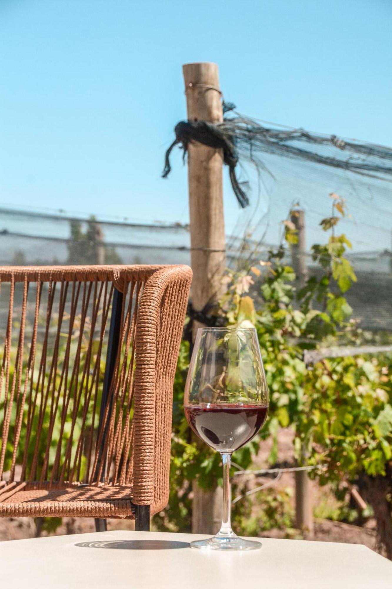 Agrelo Vines Lodge Buitenkant foto