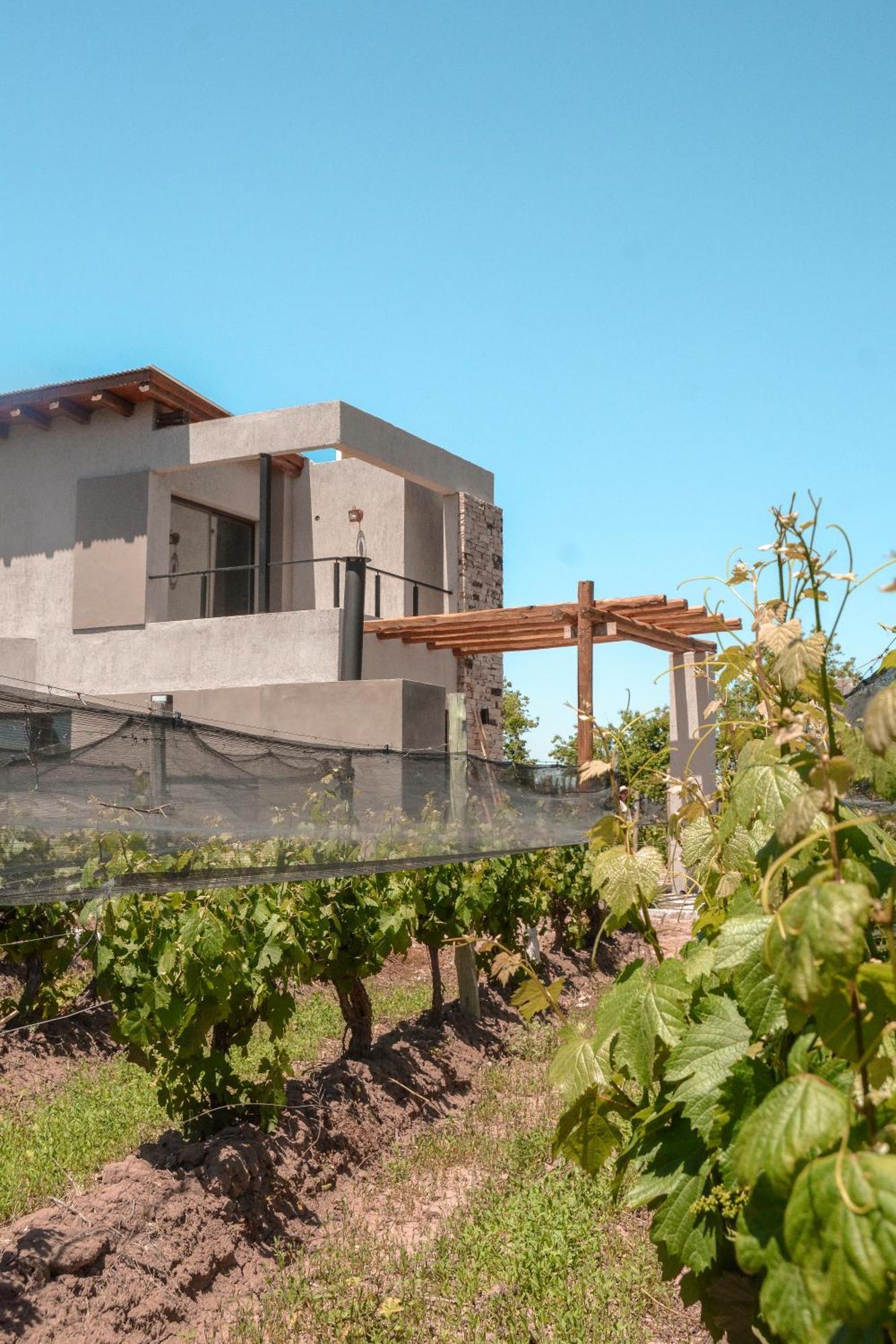 Agrelo Vines Lodge Buitenkant foto