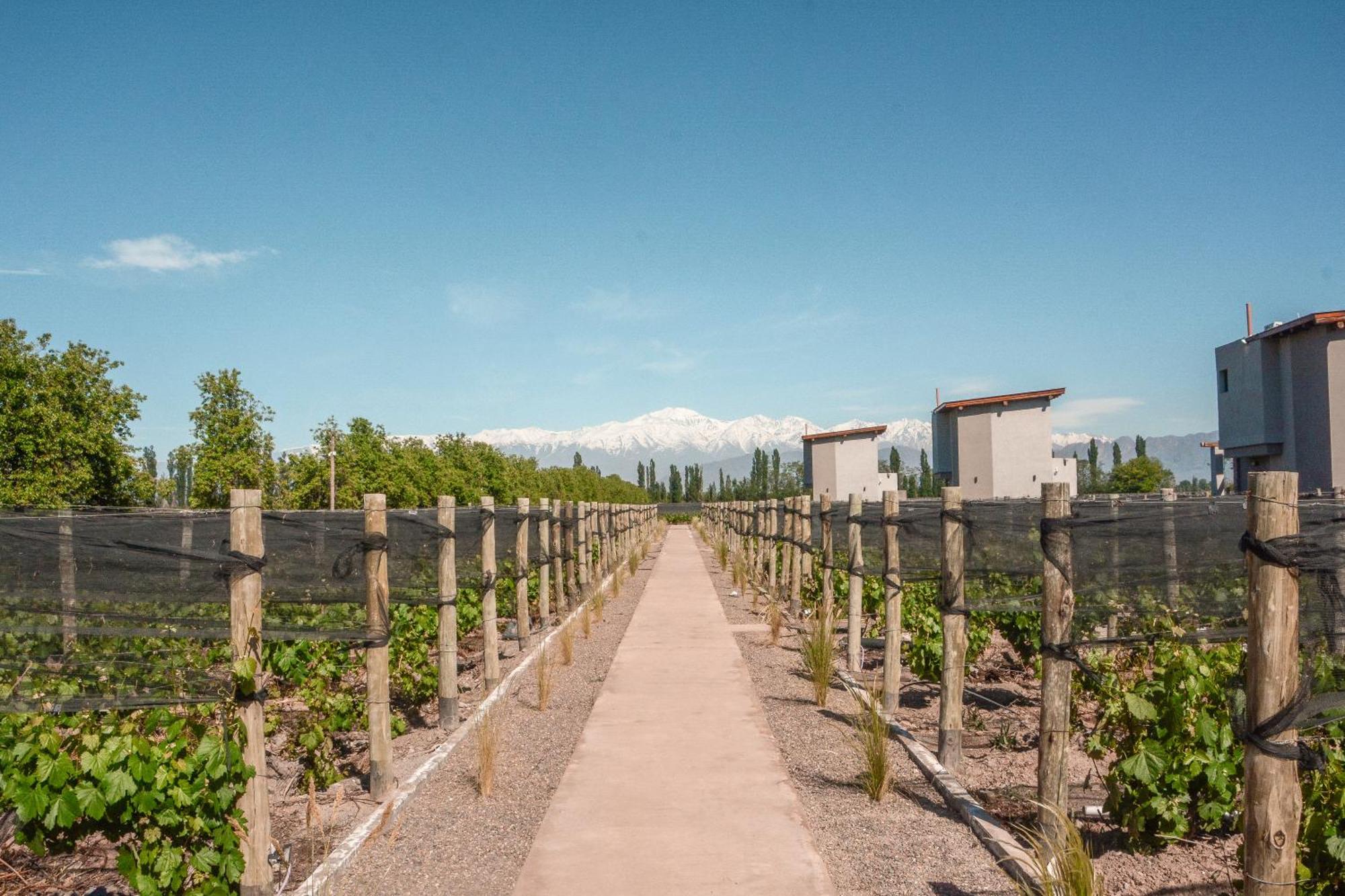 Agrelo Vines Lodge Buitenkant foto