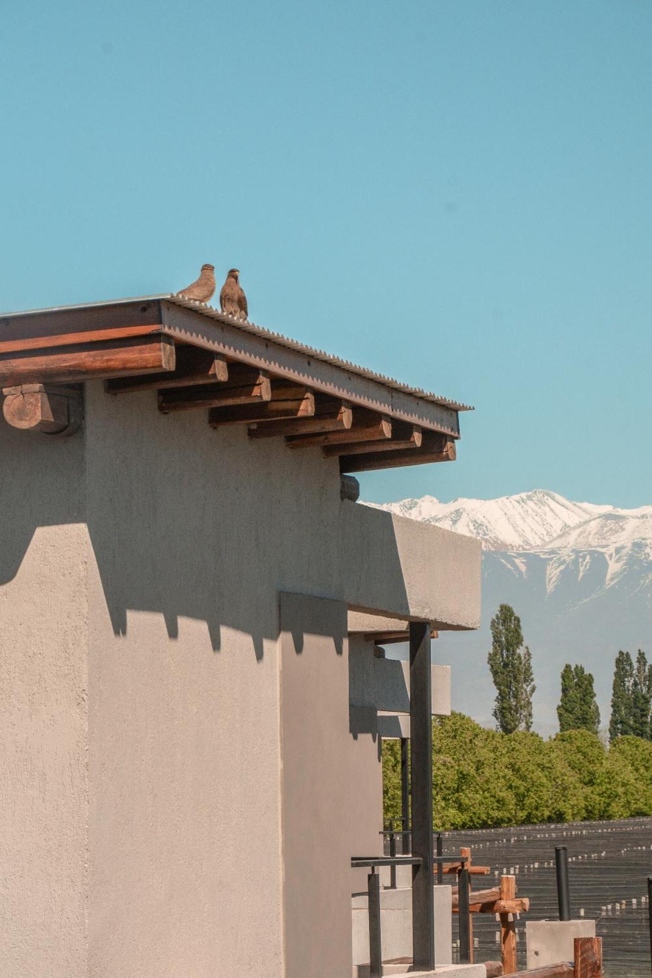 Agrelo Vines Lodge Buitenkant foto
