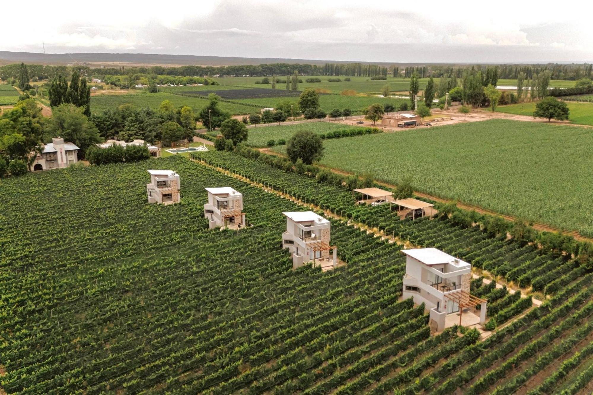 Agrelo Vines Lodge Buitenkant foto